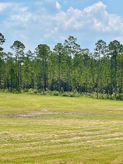 9.12 Acres of Residential Land for Sale in Poplarville, Mississippi