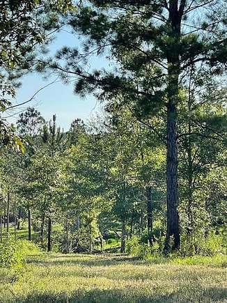 8.16 Acres of Residential Land for Sale in Poplarville, Mississippi