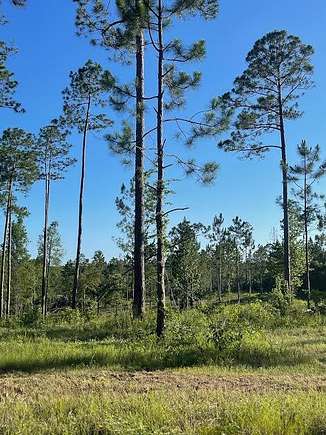 5.58 Acres of Residential Land for Sale in Poplarville, Mississippi