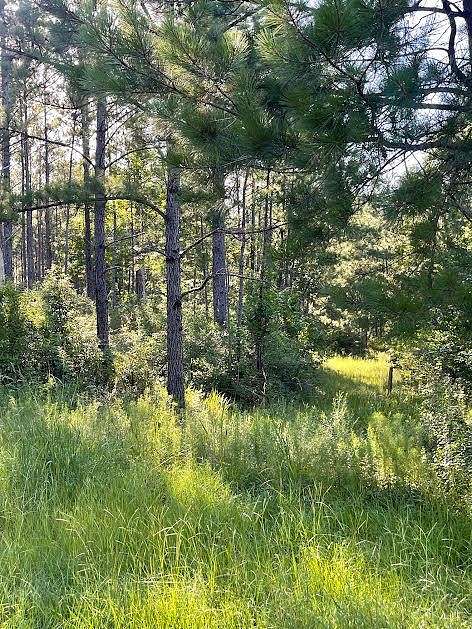 8.98 Acres of Residential Land for Sale in Poplarville, Mississippi