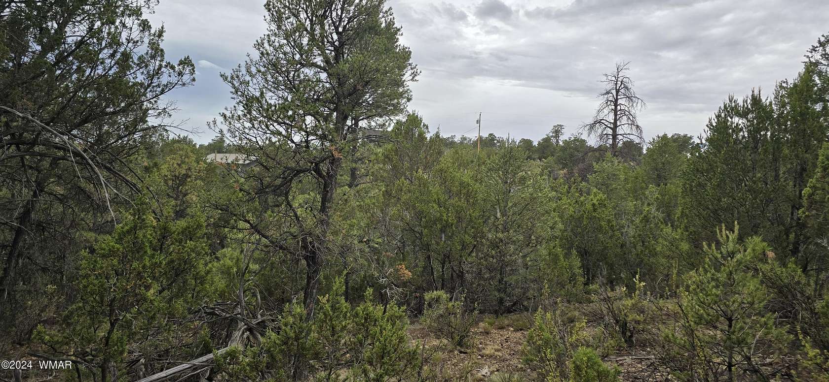 0.9 Acres of Residential Land for Sale in Heber, Arizona