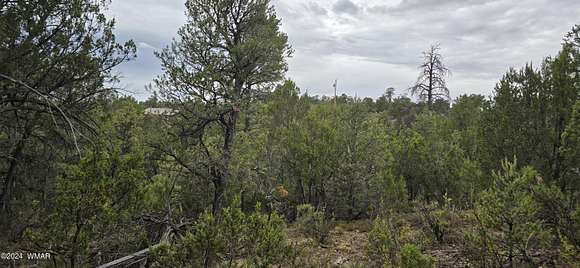 0.9 Acres of Residential Land for Sale in Heber, Arizona