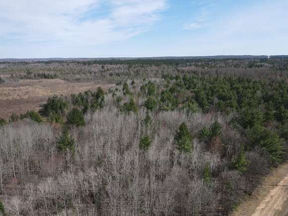 81.71 Acres of Recreational Land for Sale in Prudenville, Michigan