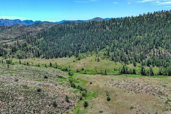 47.54 Acres of Recreational Land for Sale in Livermore, Colorado
