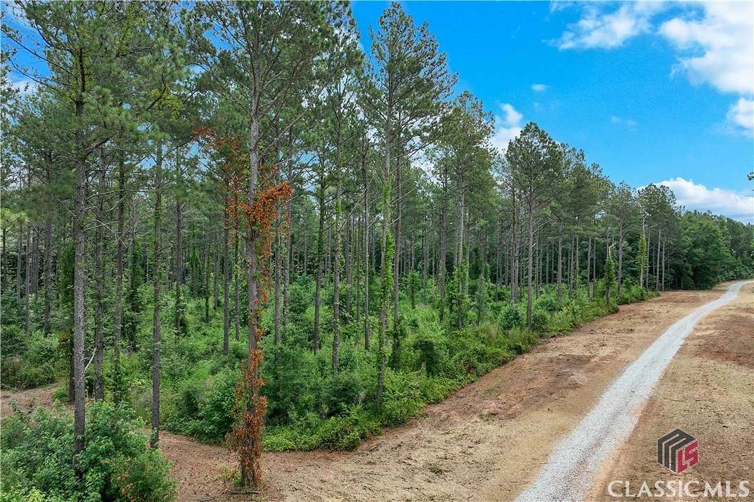 28 Acres of Land for Sale in Winterville, Georgia