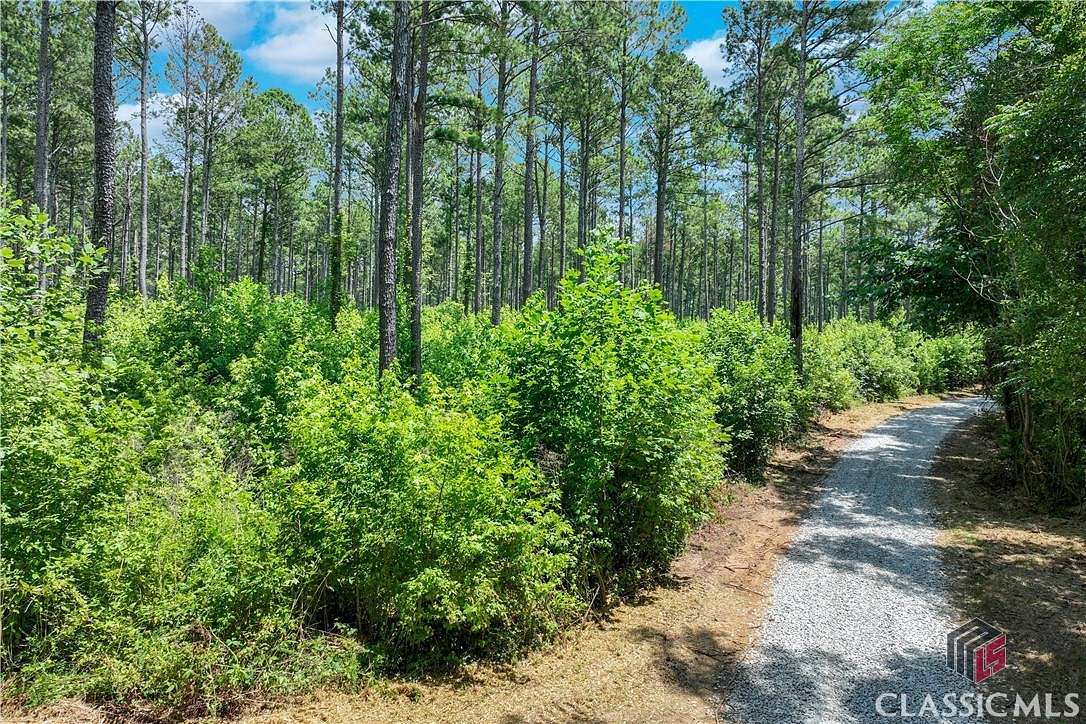 40 Acres of Recreational Land for Sale in Winterville, Georgia