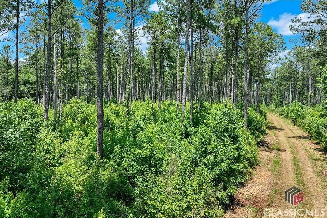 40 Acres of Recreational Land for Sale in Winterville, Georgia