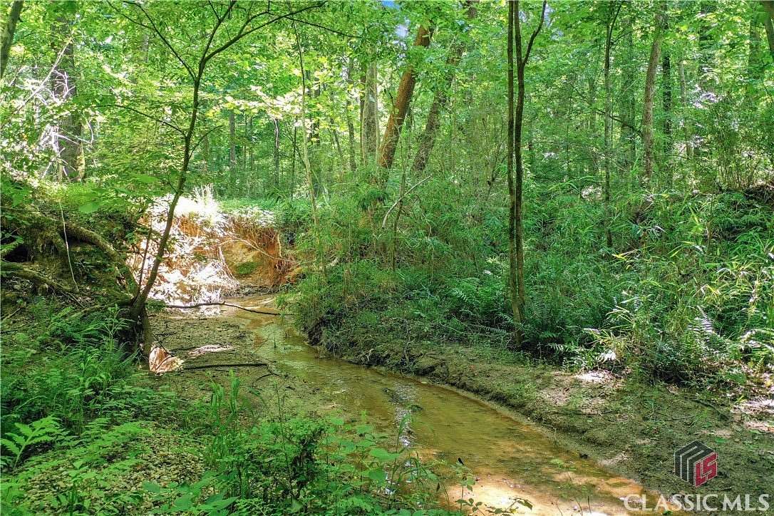 32 Acres of Recreational Land for Sale in Winterville, Georgia