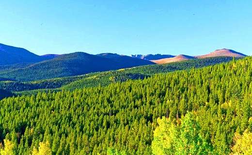 3.9 Acres of Residential Land for Sale in Idaho Springs, Colorado