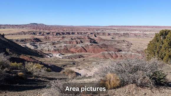 10 Acres of Residential Land for Sale in Petrified Forest National Park, Arizona