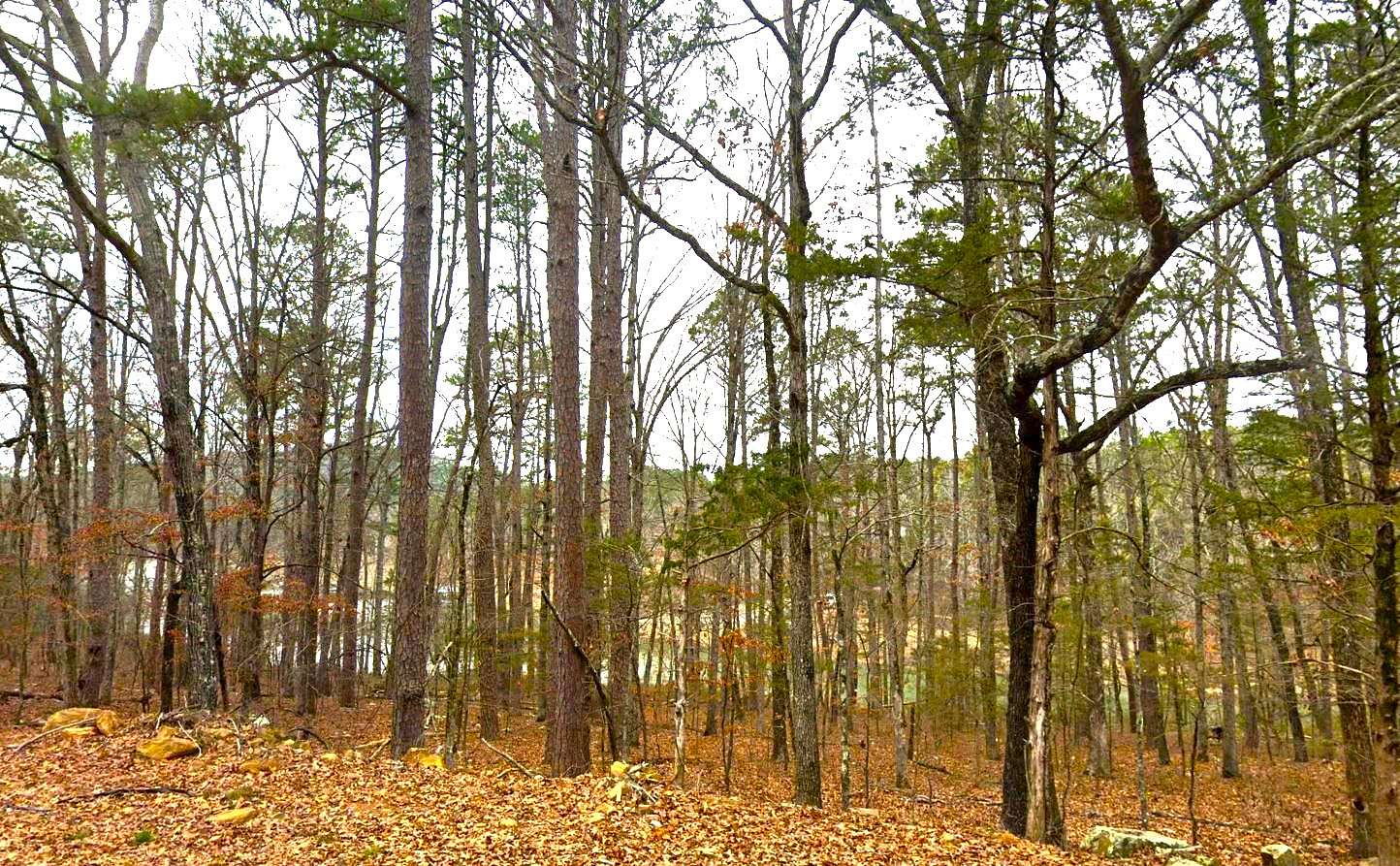 0.24 Acres of Residential Land for Sale in Fairfield Bay, Arkansas