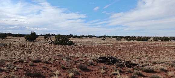 1.05 Acres of Residential Land for Sale in Concho, Arizona