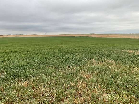 463 Acres of Recreational Land & Farm for Sale in Wheatland, Wyoming