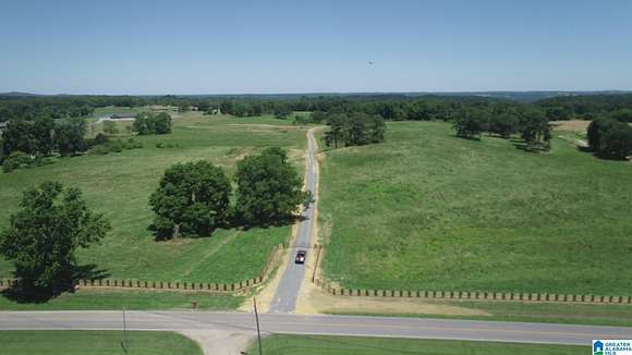 10.59 Acres of Land for Sale in Blountsville, Alabama