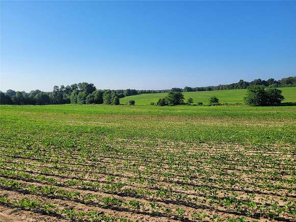 79 Acres of Land for Sale in Middletown, Missouri