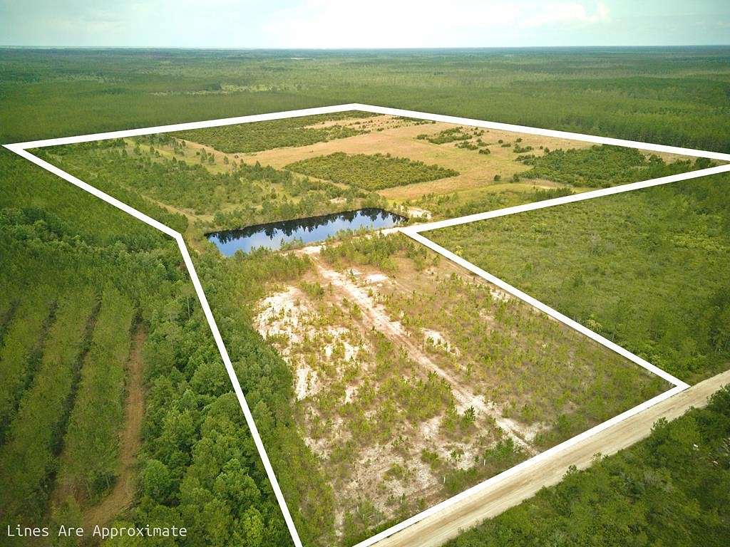 62.77 Acres of Agricultural Land for Sale in Waycross, Georgia