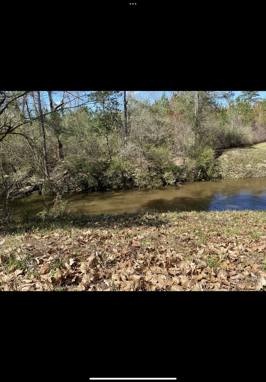 30.805 Acres of Agricultural Land for Sale in Columbia, Mississippi