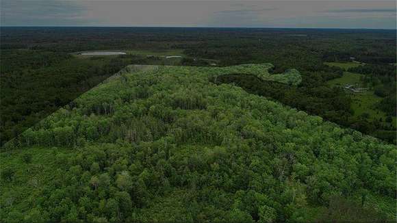 88.62 Acres of Recreational Land for Sale in Sago Township, Minnesota