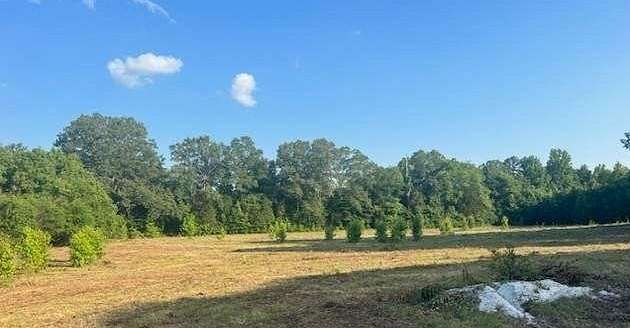 8.8 Acres of Residential Land for Sale in Henderson, Tennessee