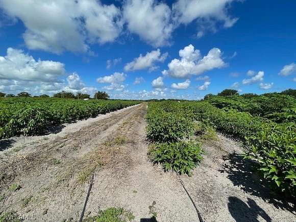 10 Acres of Agricultural Land for Sale in Zolfo Springs, Florida