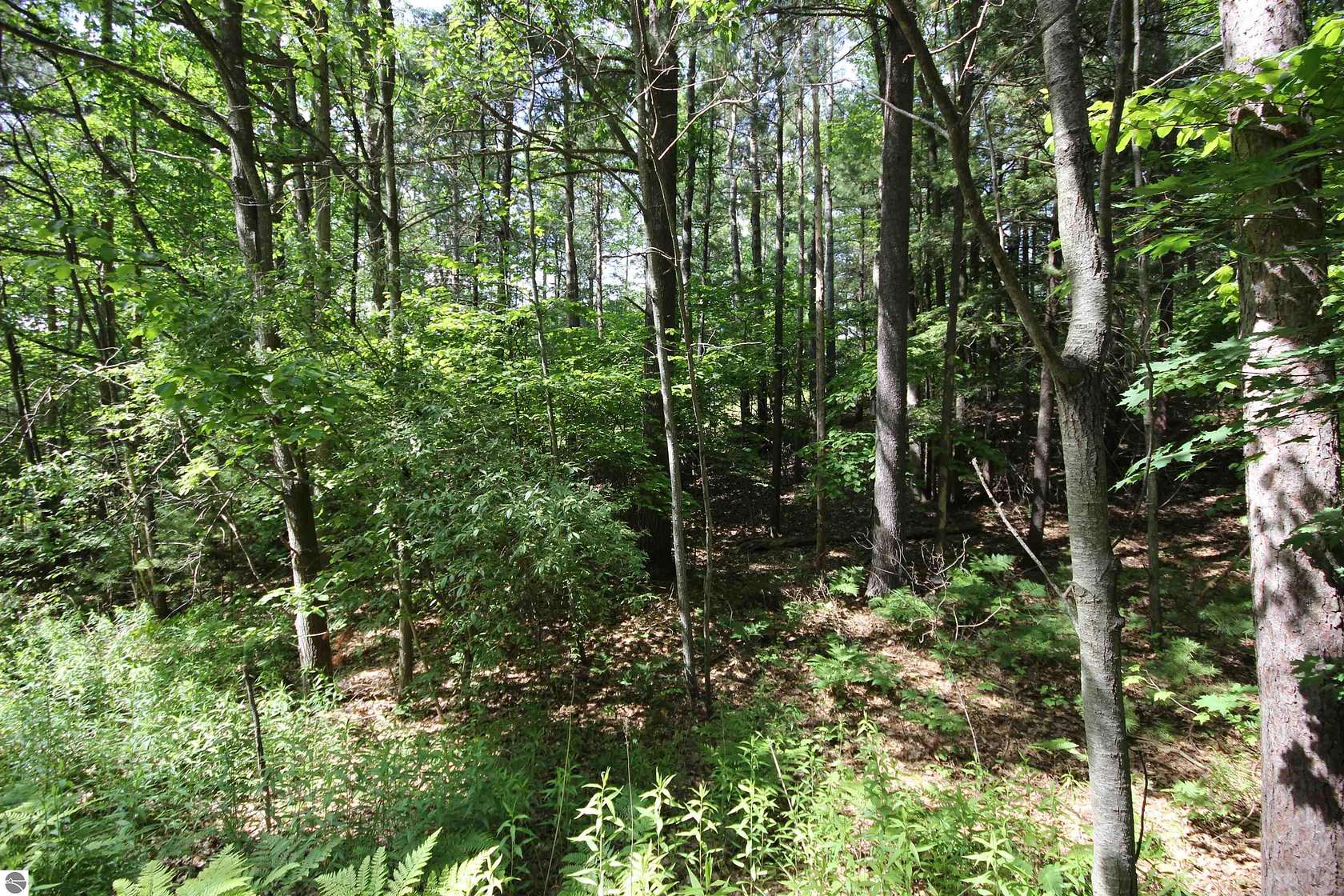 1.08 Acres of Residential Land for Sale in Traverse City, Michigan