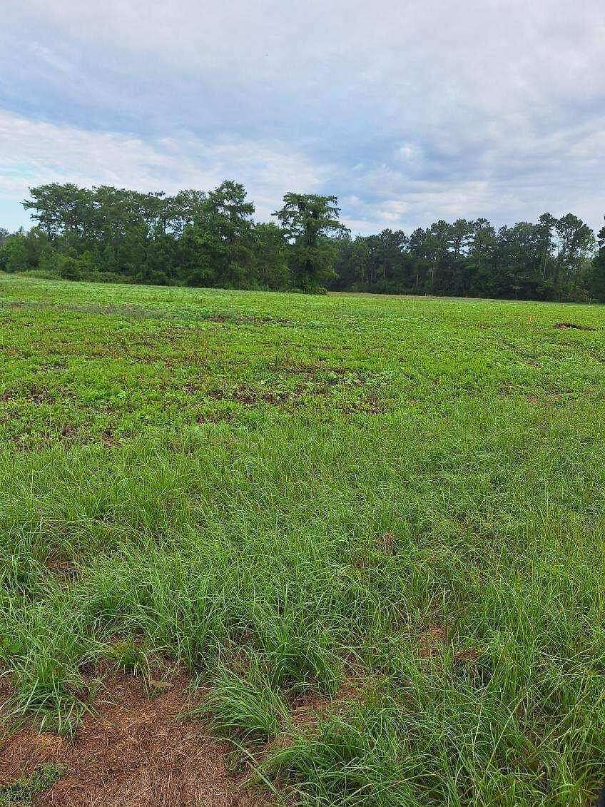 Residential Land for Sale in Columbia, Mississippi