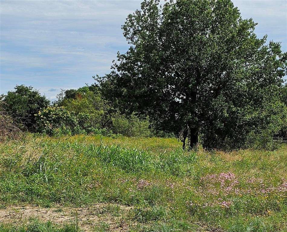 1 Acre of Residential Land for Sale in Boyd, Texas