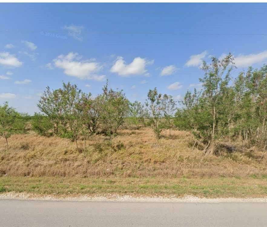 19.238 Acres of Land for Sale in Harlingen, Texas