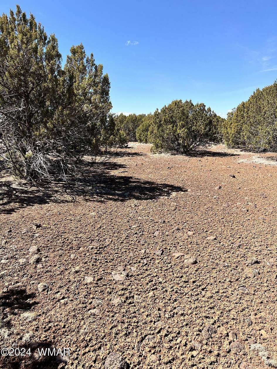 5 Acres of Residential Land for Sale in Concho, Arizona