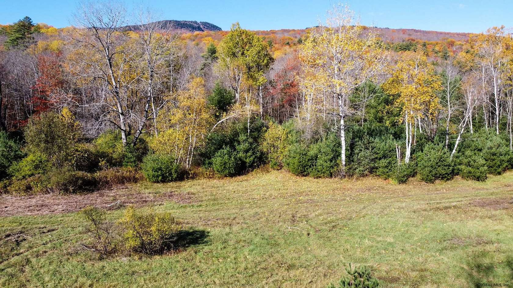 10.52 Acres of Land for Sale in Johnsburg, New York