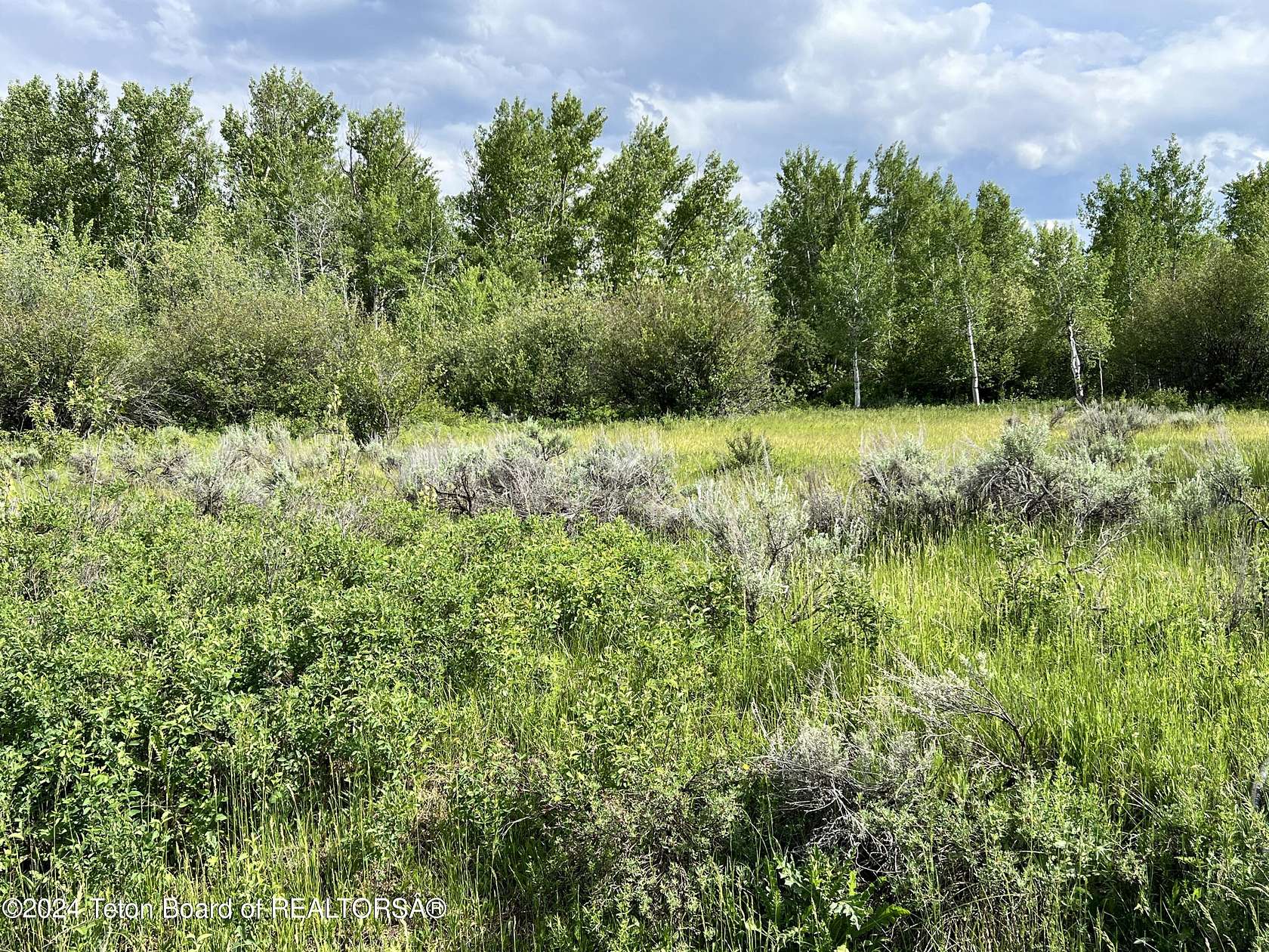 1.1 Acres of Residential Land for Sale in Driggs, Idaho