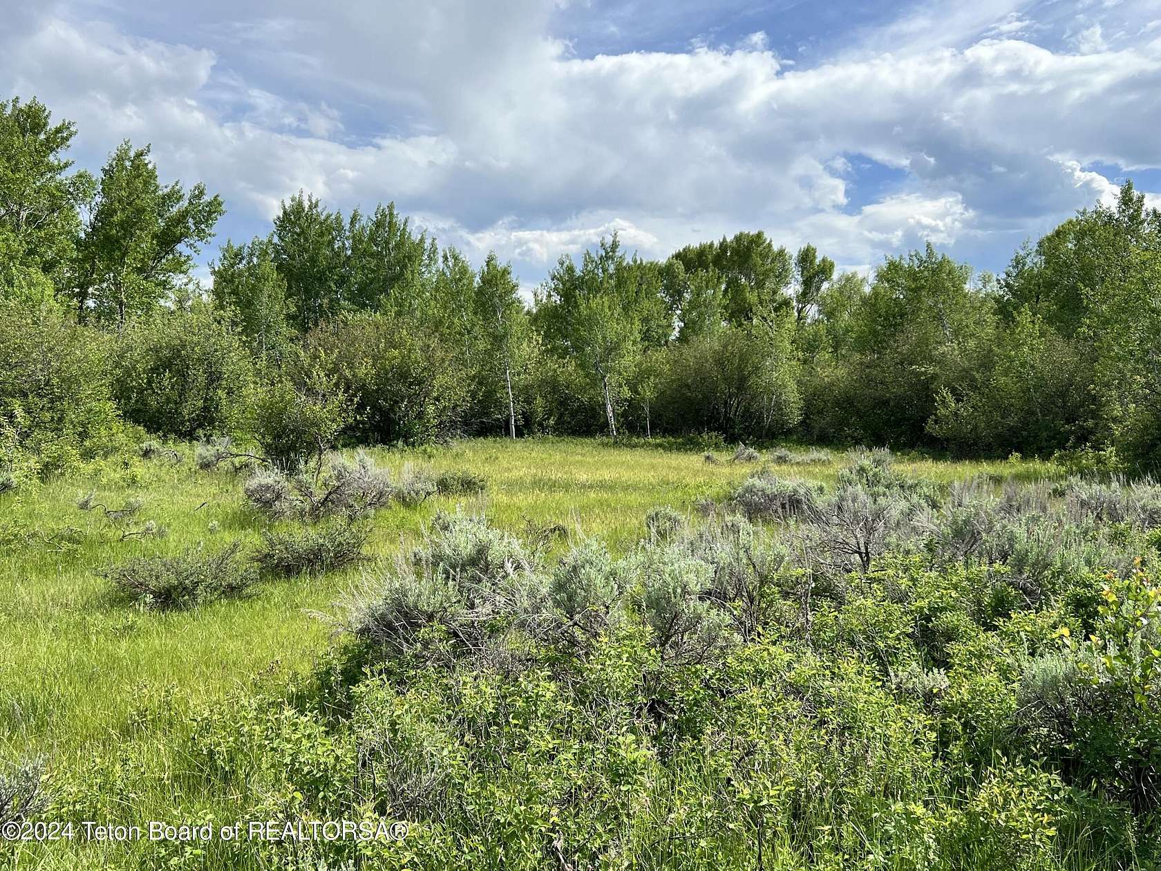 1.1 Acres of Residential Land for Sale in Driggs, Idaho