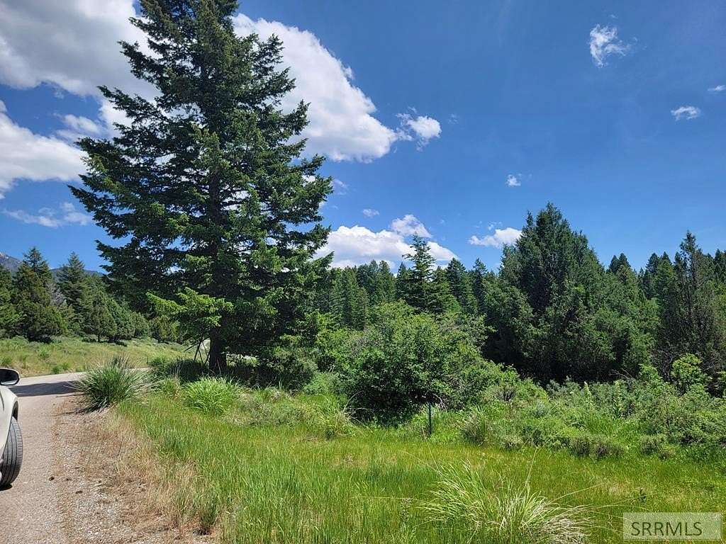 2.13 Acres of Land for Sale in Irwin, Idaho