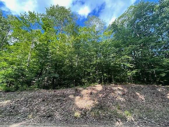 10 Acres of Recreational Land for Sale in Gaylord, Michigan