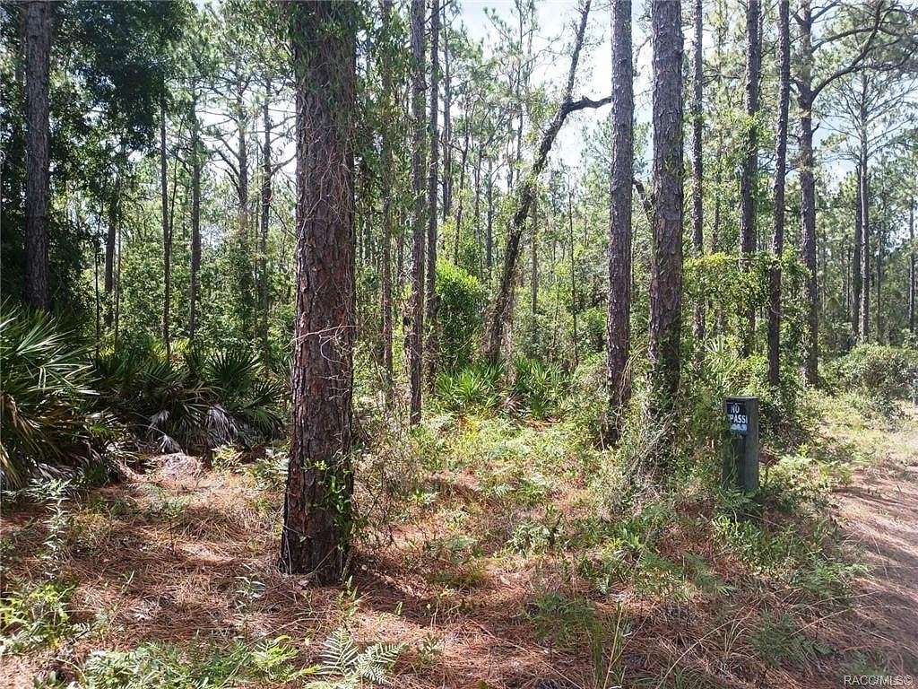5.05 Acres of Residential Land for Sale in Crystal River, Florida