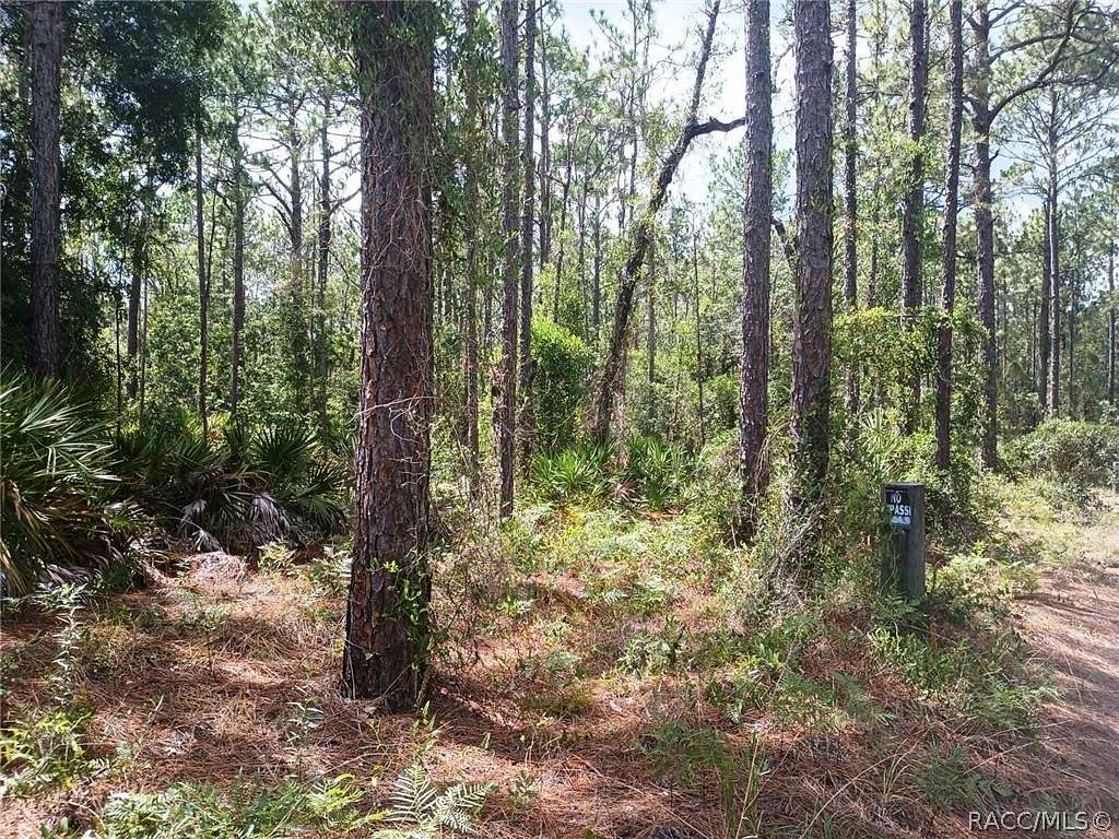 5.05 Acres of Residential Land for Sale in Crystal River, Florida