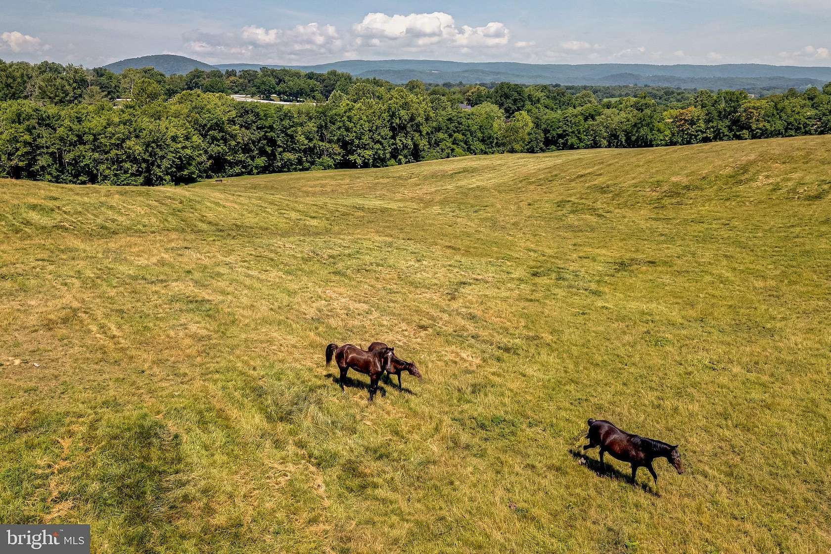 17.05 Acres of Agricultural Land for Sale in Delaplane, Virginia