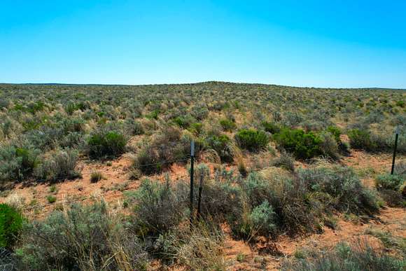 40 Acres of Recreational Land for Sale in Sanders, Arizona