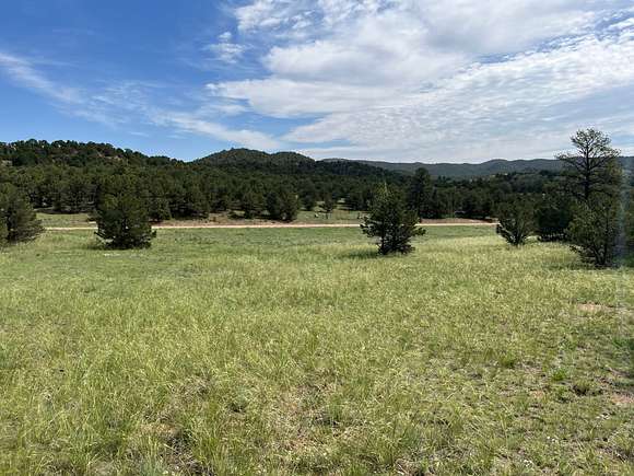 20.03 Acres of Recreational Land for Sale in Cotopaxi, Colorado
