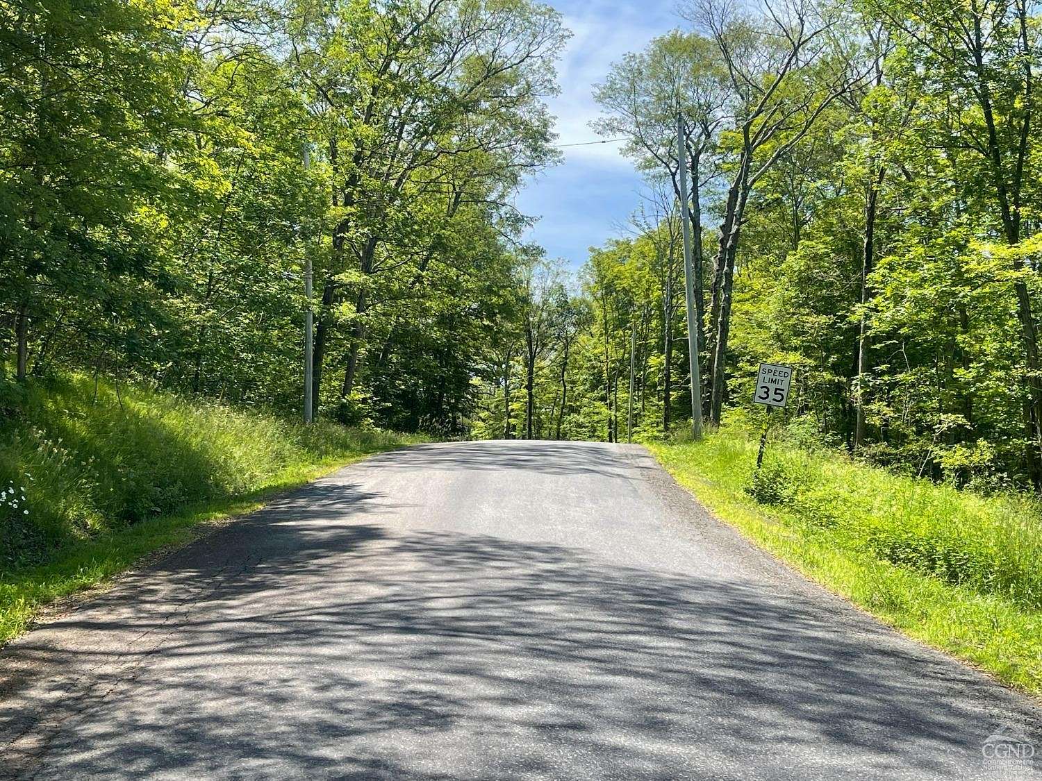 43.4 Acres of Land for Sale in Gallatin Town, New York