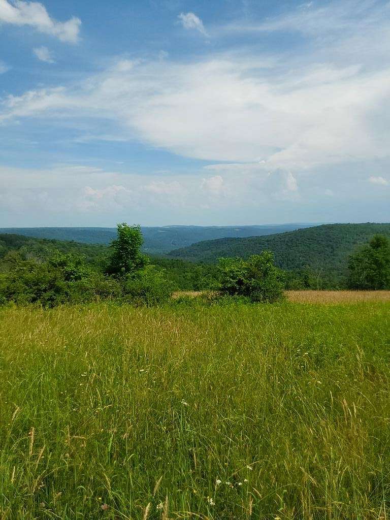 87 Acres of Recreational Land for Sale in Lindley, New York