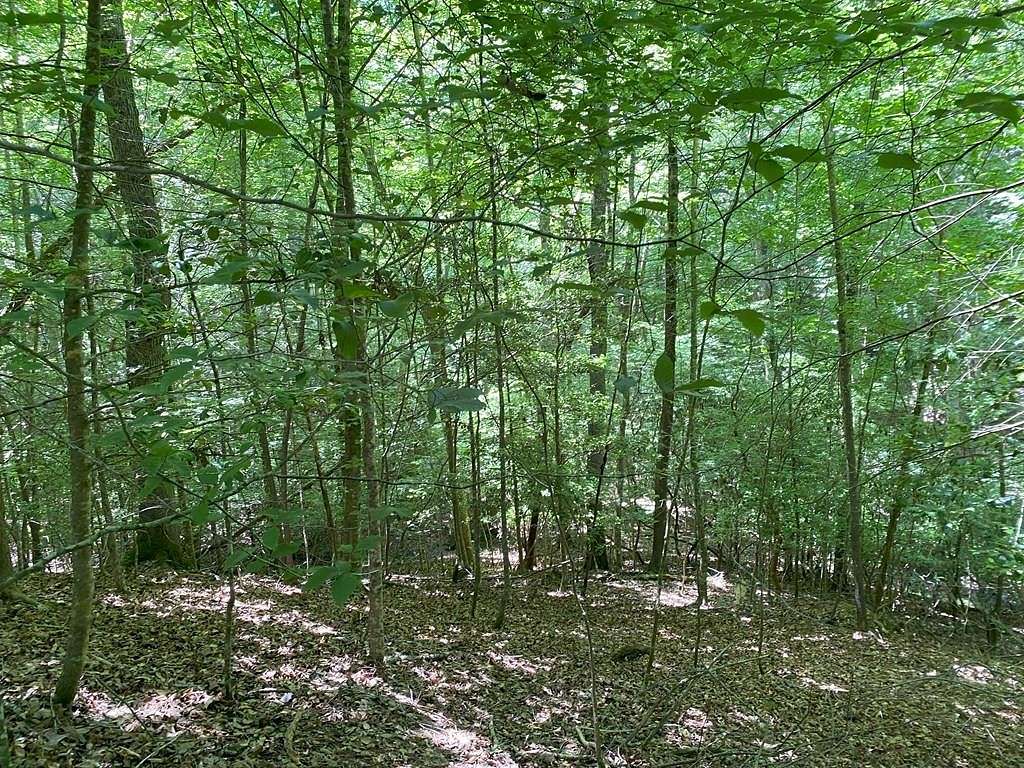 Residential Land for Sale in Murphy, North Carolina