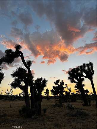 5 Acres of Residential Land with Home for Sale in Yucca Valley, California