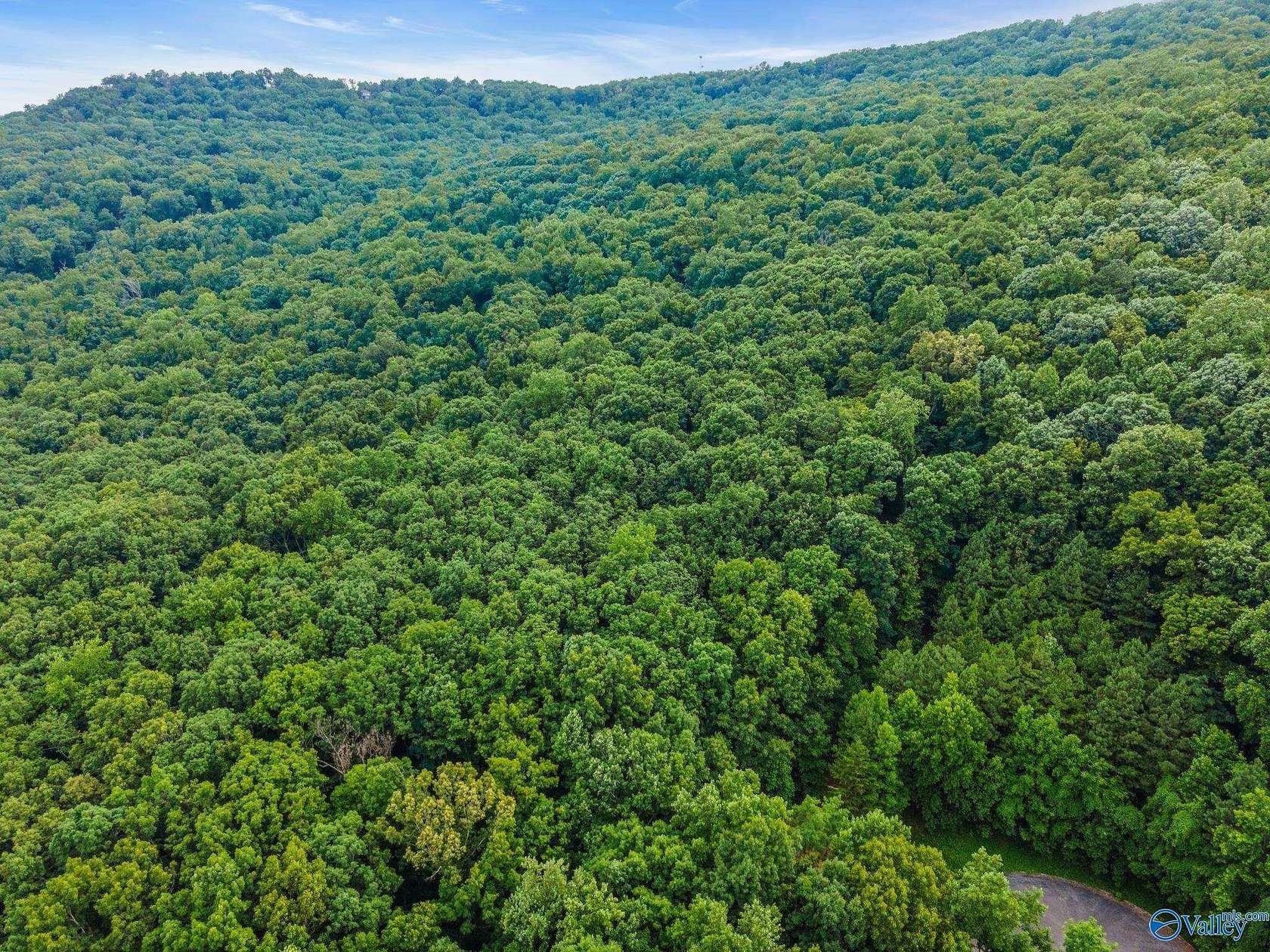 11 Acres of Land for Sale in Owens Cross Roads, Alabama