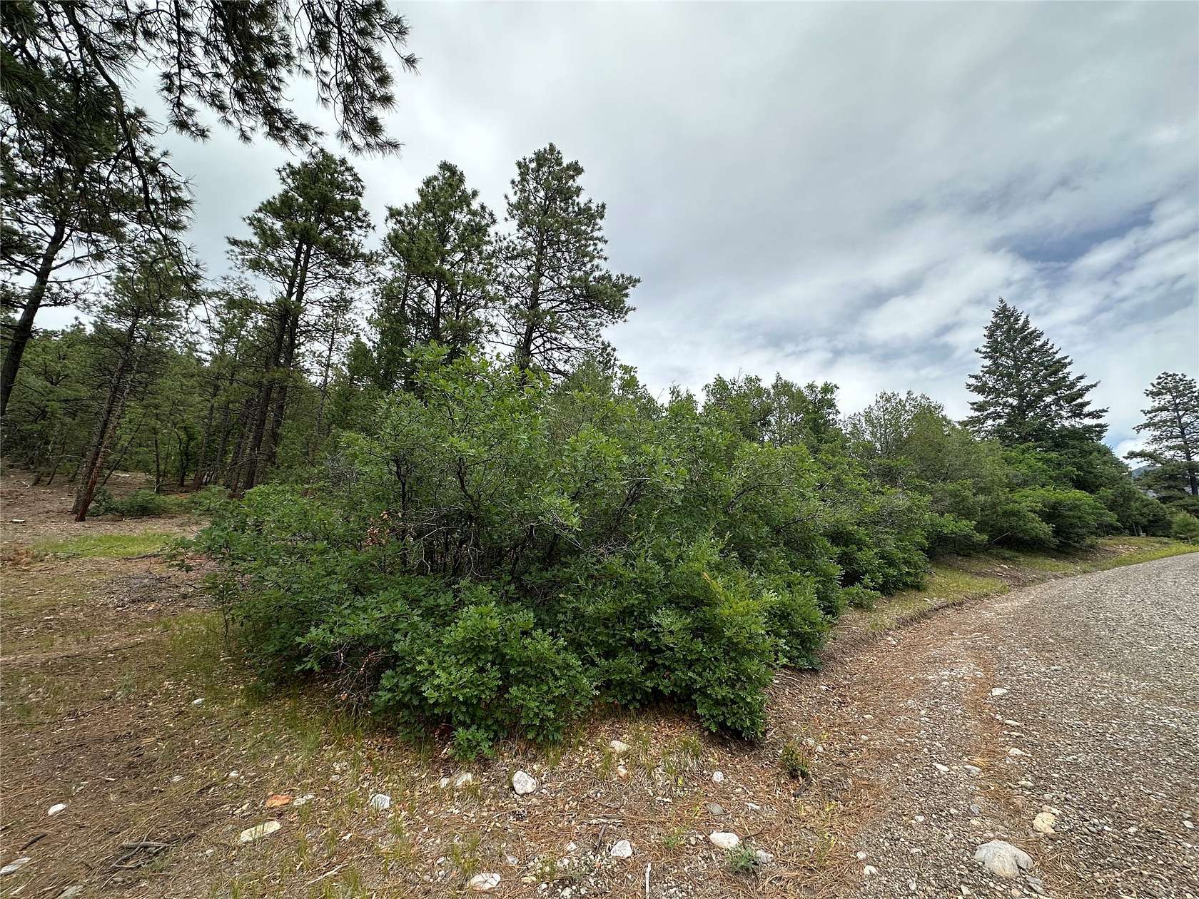 1.12 Acres of Residential Land for Sale in Chama, New Mexico