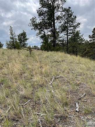 20 Acres of Agricultural Land for Sale in Lavina, Montana
