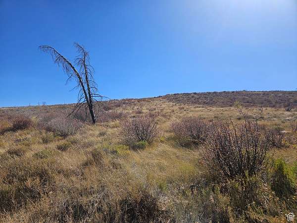 5 Acres of Land for Sale in Fruitland, Utah