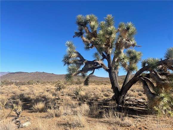 1 Acre of Residential Land for Sale in Dolan Springs, Arizona