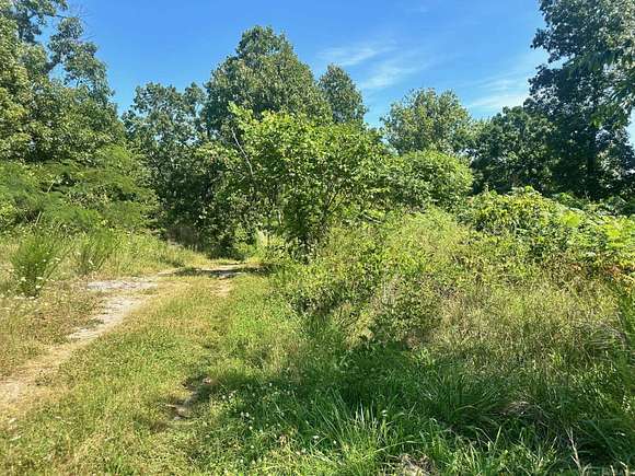 0.75 Acres of Residential Land for Sale in Mountain Home, Arkansas