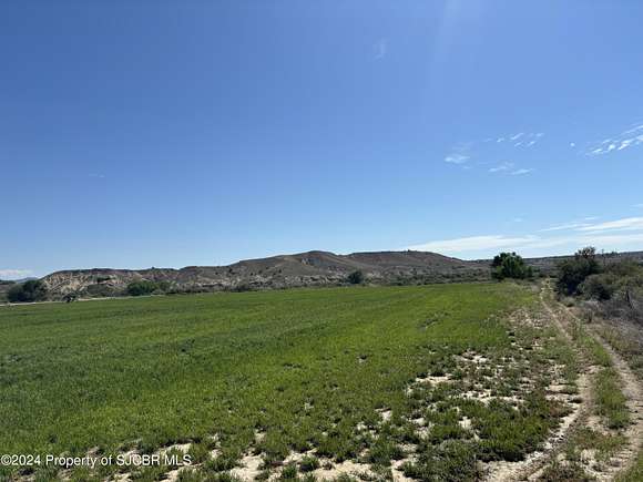 49.09 Acres of Agricultural Land for Sale in Bloomfield, New Mexico